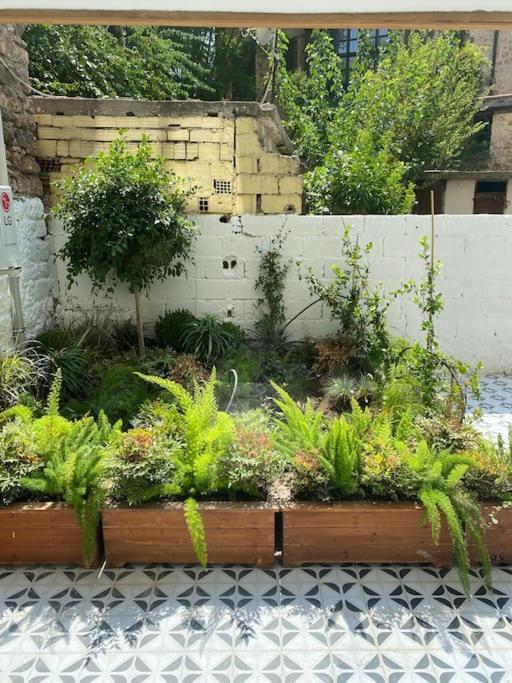 Center Of Old Town,2+1 Flat With Garden Apartament *